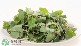 灰灰菜能吃嗎？灰灰菜怎么做菜才好吃