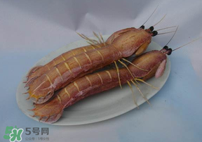 皮皮蝦死了還能吃嗎？皮皮蝦死了多久還能吃？