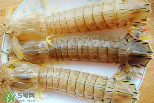 蝦爬子多少錢一斤？2017蝦爬子價(jià)格
