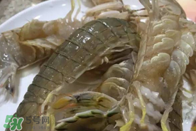 皮皮蝦可以放冰箱嗎？皮皮蝦能放冰箱保存嗎？