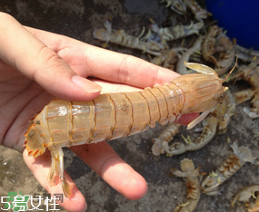 ?皮皮蝦發(fā)綠能吃嗎？?皮皮蝦變綠了還能吃嗎？