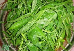 莧菜怎么吃？莧菜怎么炒