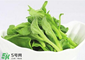 冰草多少錢一斤？非洲冰草多少錢一斤？