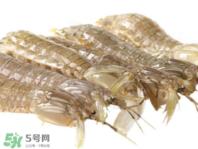 蝦爬子什么季節最肥？蝦爬子幾月份最肥？