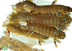 蝦爬子能冷凍嗎？蝦爬子可以冷藏嗎？