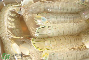 蝦爬子綠色怎么回事？蝦爬子變黑還能吃嗎？