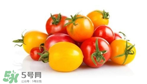 小番茄轉基因食品嗎？小番茄是不是轉基因