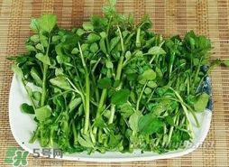 哺乳期能吃西洋菜嗎？哺乳期可以吃西洋菜嗎