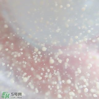 資生堂悅薇和怡麗絲爾哪個好？資生堂悅薇和怡麗絲爾對比