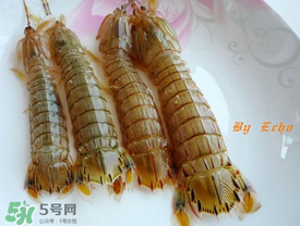 蝦爬子能放多久？蝦爬子怎么保存時間長？