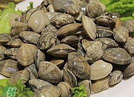 蜆子不能和什么一起吃？吃蜆子不能吃什么？