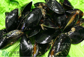 哪些人不適合吃淡菜？淡菜什么人不能吃？