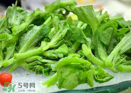 冰菜孕婦能吃嗎？孕婦能不能吃冰菜？