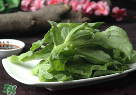 冰菜可以生吃嗎？冰菜能生吃嗎？