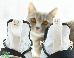 nike lebron 14怎么樣？耐克lebron 14測(cè)評(píng)