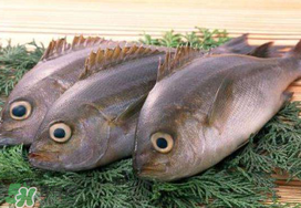 蠶豆和魚能一起吃嗎？蠶豆和魚吃相克嗎？
