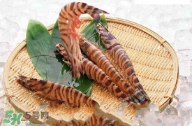蝦爬子怎么扒皮？蝦爬子怎么剝殼？