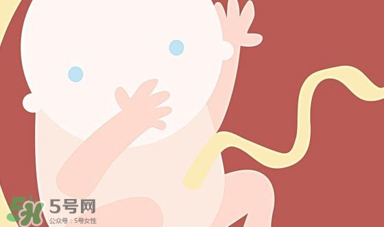 胎兒發育關鍵時期是什么時候？胎兒發育黃金期