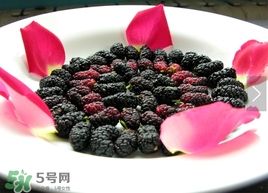 覆盆子是桑葚嗎？覆盆子和桑葚的區別