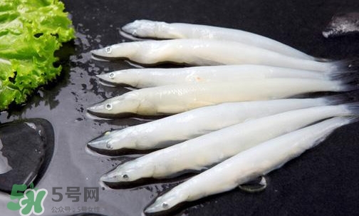 面條魚(yú)有刺嗎？面條魚(yú)有鱗嗎
