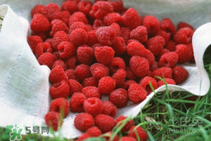 刺泡怎么保存？刺泡保存方法