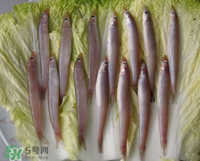 青島面條魚(yú)是什么魚(yú)？青島面條魚(yú)叫什么