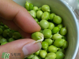 新鮮豌豆發芽了能吃嗎？豌豆發芽了還能吃嗎？