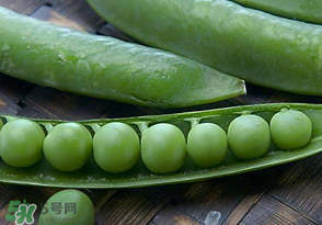 剝好的豌豆怎么保存？剝好的豌豆米怎么保存？