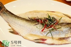 白條魚怎么做好吃？白條魚怎么吃好吃