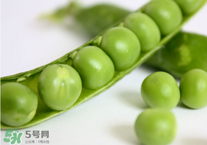 生豌豆有毒嗎？豌豆生吃有毒嗎？