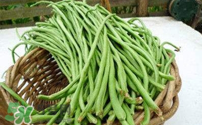 缸豆是豆角嗎？缸豆和豆角有什么區別
