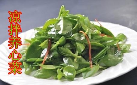 養(yǎng)心菜能生吃嗎？養(yǎng)心菜怎么吃？