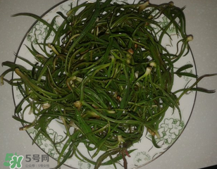 陽溝菜孕婦可以吃嗎？孕婦能吃陽溝菜嗎？