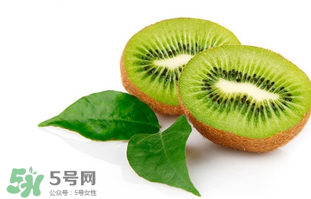 獼猴桃是奇異果嗎？獼猴桃是不是奇異果