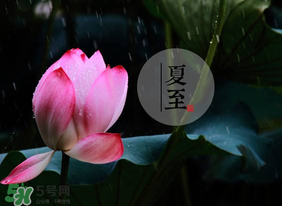 立夏和夏至有什么區(qū)別？立夏和夏至的區(qū)別