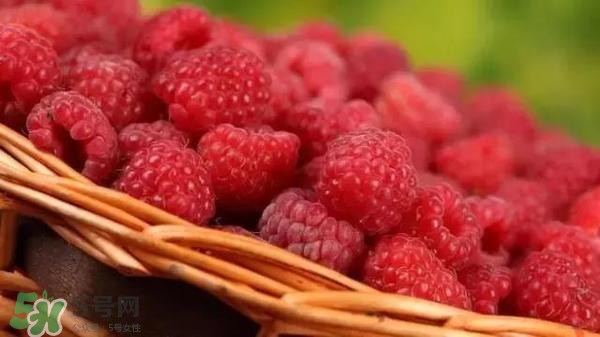 樹莓可以直接吃嗎？樹莓里的小籽能吃嗎？