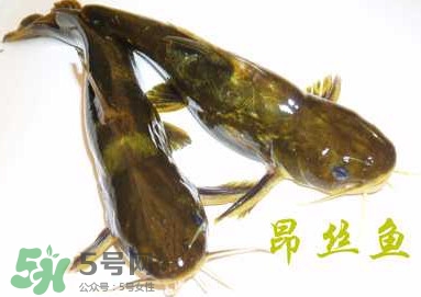 黃顙魚不能和什么一起吃？黃顙魚不能與什么同吃？
