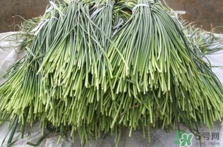 蒜薹跟什么相克？蒜薹不能和什么一起吃