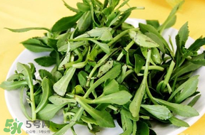 養心菜能生吃嗎？養心菜怎么吃？