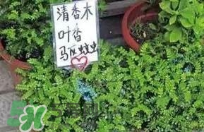 寶寶驅蚊產品哪個好？寶寶驅蚊用什么好？