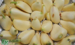 蒜頭發芽了還能吃嗎？蒜頭發芽了芽心能吃嗎