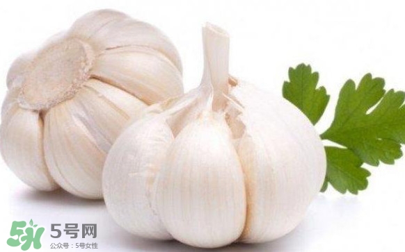 蒜頭發芽能吃嗎？蒜頭發芽可以吃嗎？