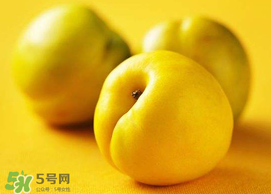 油桃和芒果可以一起吃嗎？芒果和油桃能一起吃嗎？