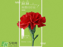 2017年母親節會打折嗎？2017年母親節有什么優惠活動？