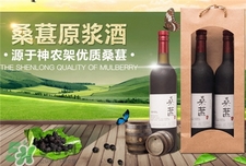 桑葚酒的營養價值_桑葚酒的功效與作用