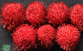 紅毛丹什么時候上市？紅毛丹什么季節有？