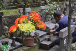 母親節能掃墓嗎？母親節給母親上墳合適嗎？