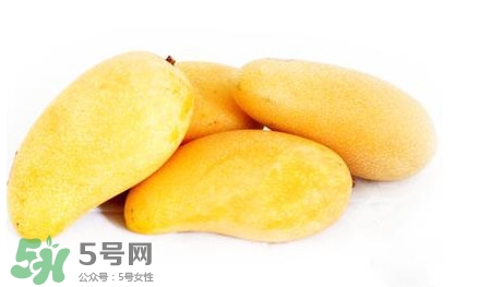 吃芒果上火嗎？吃芒果上火還是降火