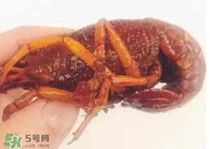 周黑鴨小龍蝦好吃嗎？周黑鴨小龍蝦試吃評(píng)測(cè)