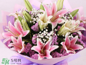 百合花多少錢一支2017？百合花多少錢一束2017？